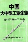 中国大中型工业企业 封面