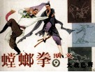 螳螂拳演义  9  大战巴府 封面