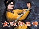 女侠柳枝蝉 封面