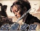 古堡女奴 封面