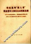 彻底批判“四人帮”掀起普及大寨县运动的新高潮 封面