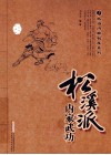 松溪派内家武功  经典珍藏版 封面