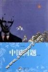 中国问题  英文版 封面
