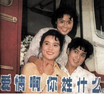 电影连环画册  爱情啊，你姓什么？ 封面