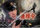 通缉令 封面