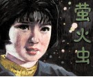 萤火虫 封面