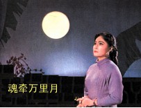 魂牵万里月 封面