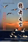 鹤舞长空 封面