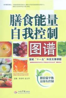 膳食能量自我控制图谱 封面