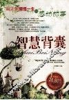 智慧背囊  最让你顿悟一生的感动故事 封面