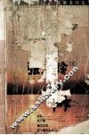 名家名作丛书 封面