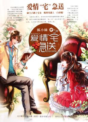 爱情宅急送 封面