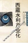 西藏水利产业化 封面