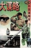 大谋略 封面