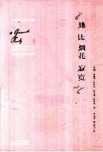 她比烟花寂寞 电子书封面