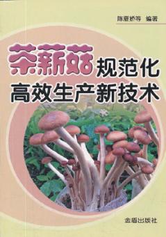 茶薪菇规范化高效生产新技术 封面