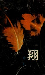 翔  邵影诗集 封面