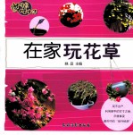 逆生长慢生活  在家玩花草 封面