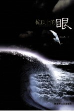 桅顶上的眼 封面