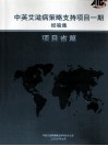 中英艾滋病策略支持项目一期经验集  项目省篇 封面