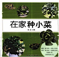 逆生长慢生活  在家种小菜 封面