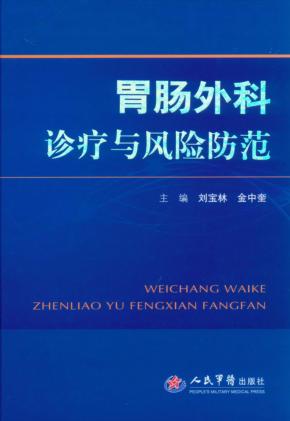 胃肠外科诊疗与风险防范 封面