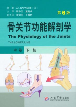 骨关节功能解剖学  中  下肢 封面