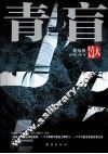 青盲  大结局 封面