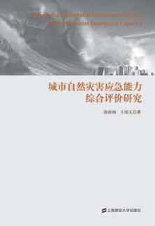 城市自然灾害应急能力综合评价研究 封面