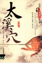 中华针灸要穴丛书  太溪穴 封面