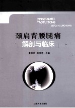 颈肩背腰腿痛解剖与临床 封面