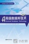高级数据库技术 封面