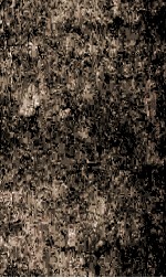 恪奏稿续编  32 封面