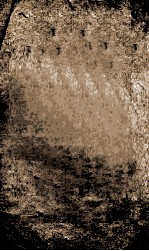 左文襄公奏稿  1 封面