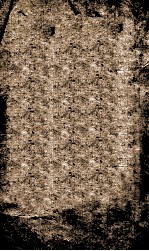 左文襄公奏稿  4 封面