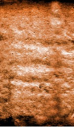 恪靖奏稿初编  1 封面