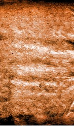 恪靖奏稿初编  5 封面