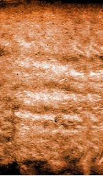 恪靖奏稿初编  6 封面