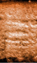 恪靖奏稿初编  12 封面