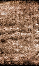 恪靖奏稿续编  65 封面