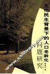 文化民生背景下的人口老龄化问题研究 封面