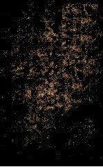 历朝纲鉴会篆  21 封面