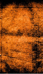 王凤洲%袁%纲鉴合编  5 封面