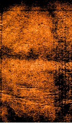 王凤洲%袁%纲鉴合编  6 封面