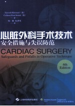 心脏外科手术技术安全措施与失误防范 封面