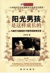 阳光男孩是这样成长的  与奥巴马拥抱的中国男孩教育实录 封面
