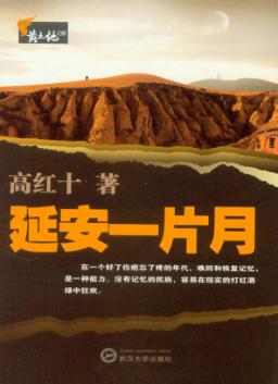 延安一片月 封面