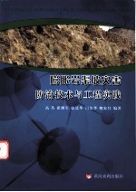 膨胀岩渠坡灾害防治技术与工程实践 封面