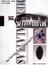 实验诊断学彩色图谱 封面