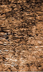 新订四书补注借旨  下谕  卷3 封面